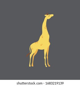 Cartoon giraffe. Cute Cartoon giraffe, Vector illustration on a gray background. Drawing for children.