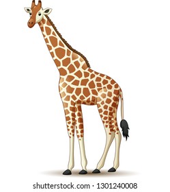 Cartoon giraffe isolated on white background - Shutterstock ID 1301240008