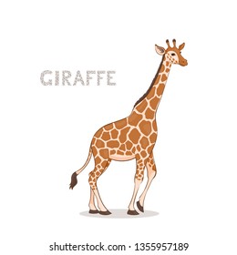 A cartoon giraffe, isolated on a white background. Animal alphabet.