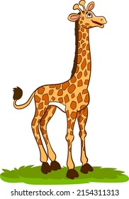 Cartoon giraffe isolated on white background