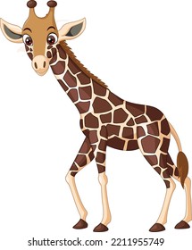 Cartoon giraffe isolated on white background