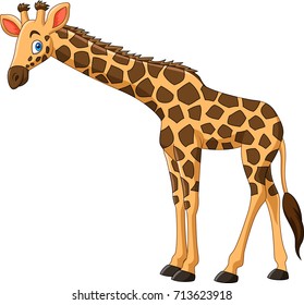 Cartoon giraffe isolated on white background