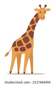 Cartoon giraffe on a white background. African herbivore. Zoo and safari. Vector isolated baby illustration