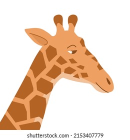 Cartoon giraffe on a white background. Head animal. African herbivore mammal. Zoo and safari. Vector isolated baby illustration