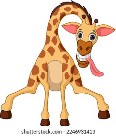 Cartoon giraffe on white background