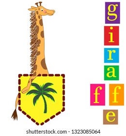 cartoon giraffe in palm tree pocket. colorful letters giraffe. vector illustration for t-shirt print,wallpaper,poster and other uses