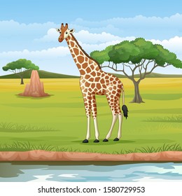 Cartoon giraffe in the savannah