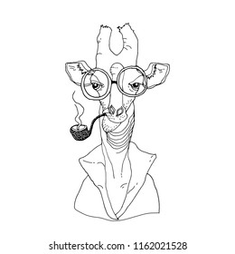 Cartoon giraffe, smoking  with a pipe in a cardigan, with glasses. Ironic look. Cozy funny line illustration.