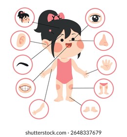 Cartoon Girl Body Parts Anatomy Illustration human