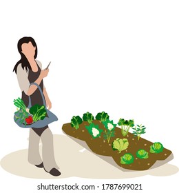 Cartoon girl, housewife wearing long sleeve shirt and pants, standing beside vegetable plot included cabbage, cauliflower, celery with vegetable basket on the arm in the other hand holds the clipper