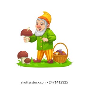 Cartoon gnome dwarf character looking for mushrooms. Isolated vector jolly elf personage in a vibrant outfit, holding a large fungus, with basket brimming with a variety of fungi on a lush green field