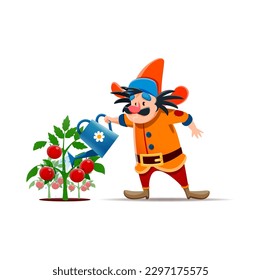 Cartoon Gnome oder Zwergbauer Charakter mit Tränkanlage. Fairytale Zwerge, Midget oder Fantasy-Elf lustige einzelne Vektorfigur. Gnome Farmer Comical Persönlichkeit Bewässerung reifer Tomaten Pflanzenernte