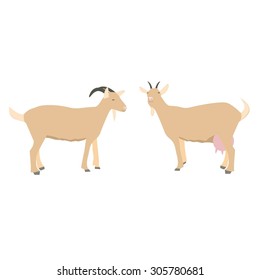 Caricatura aislada en el fondo. Ilustración vectorial de cabra.