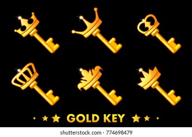 Cartoon Golden key with crown in vector