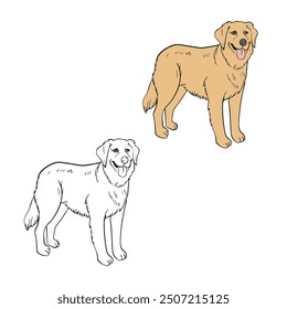 cartoon golden retriever drawing with line art style. hand drawn , color style. simple design outline style. easy to edit. dog vector illustrations