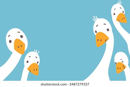 Cartoon goose background. Curious geese peeking, cute interesting characters. Farm birds looking front. Decorative animal nowaday vector banner