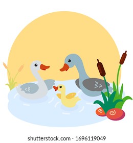 cartoon goose family in flat style . geese in a pond with reeds.
Mother, father and baby of birds. Farm animals. Vector illustration.