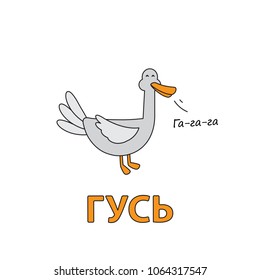 Cartoon goose flashcard. Vector illustration for children education with Goose text in Russian language