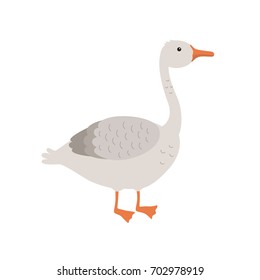 Cartoon goose isolated on white background