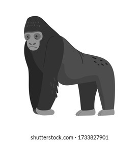 Cartoon Gorilla standing. Monkey icon. Vector illustration isolated on white background.
