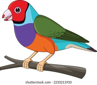 Cartoon Gouldian Finch Bird on Tree Branch