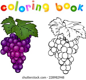 Cartoon grape coloring book. Vector illustration for children