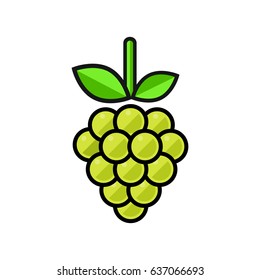 cartoon grapes green