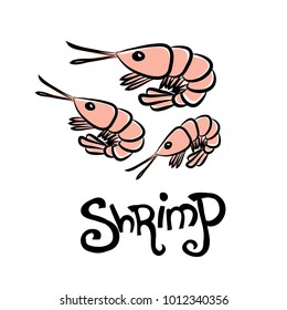 Cartoon graphic shrimps
