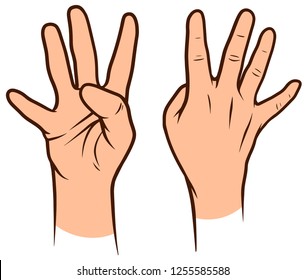 Cartoon graphic white human hands. Showing four fingers. Isolated on white background. Vector icons set.