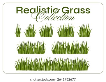 Cartoon Grass Border Set. Flat Grass Vector Collection for Landscape Design. Green grass seamless pattern pack in flat style isolated on white background.