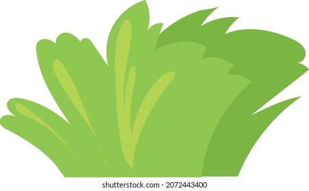 Cartoon grass. Planting green thicket shrub, vector design isolated on white background