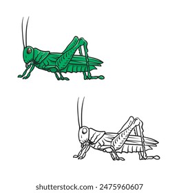 Cartoon grasshopper drawing with line art style. Simple design outline style. Easy to edit. Vector illustration