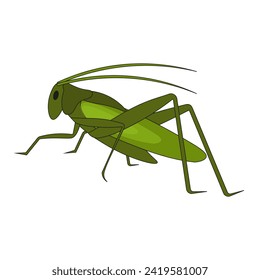 Cartoon Grasshopper isolated white background.  Insects eco friendly alternative meat. Vector illustration. EPS 10. Editable stroke