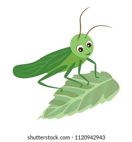 Cartoon grasshopper on green leaf. Vector illustration in children's style on white background. Simple and flat concept art.