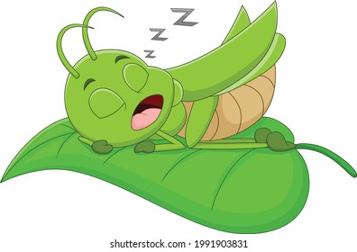 cartoon grasshopper sleeping on a leaf