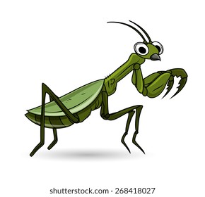 Cartoon Grasshopper Cartoon Vector