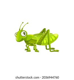 Cartoon grasshopper vector icon, funny locust insect with cute face and big eyes. kids club or pest control service mascot, design element, wild creature isolated on white background