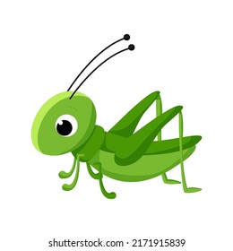 Cartoon grasshopper. Vector insect illustration isolated on white background.