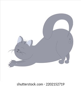 cartoon gray cat. flat style illustration. animal in stretching pose