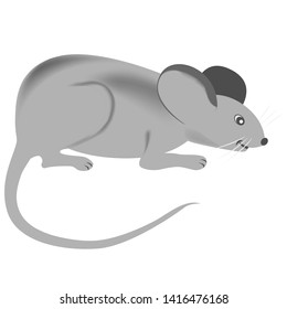 Cartoon gray mouse on a white background