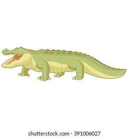 Cartoon green alligator