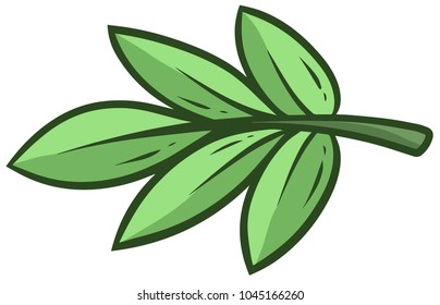 Cartoon green branch and leaves of eucalyptus. Isolated on white background. Vector icon.
