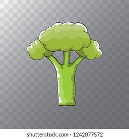cartoon green broccoli isolated on transparent background. vector cute green vegetable . vector vegan food