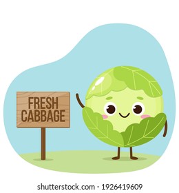 Cartoon green cabbage character. Cute cabbage with banner vector illustration