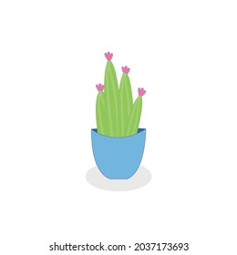 cartoon green cactus in a pot on a white background