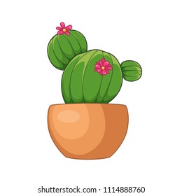 Cartoon green cactuses. Element design. Vector illustration on white background.  Abstract cactus in flower pot.