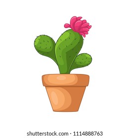 Cartoon green cactuses. Element design. Vector illustration on white background.  Abstract cactus in flower pot.