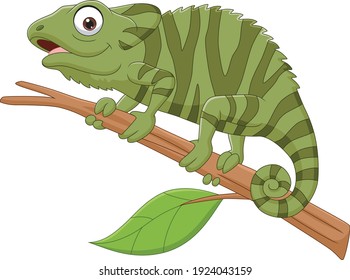 Cartoon green chameleon on tree branch