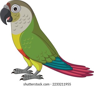 Cartoon Green Cheeked Parrot on White Background