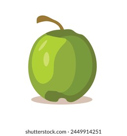 Cartoon green coconut fruit isolated on white, flat vector illustration 